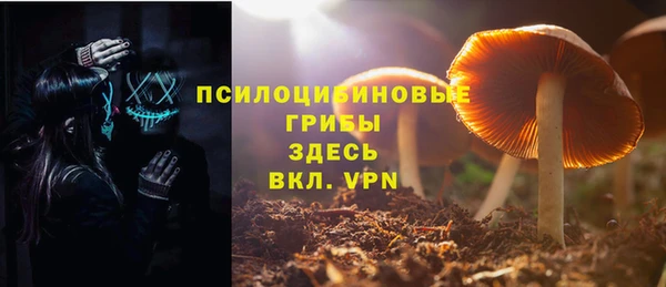 прущие крисы Армянск