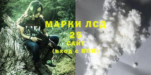 гашик Аркадак