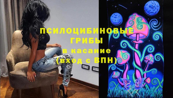 индика Новодвинск