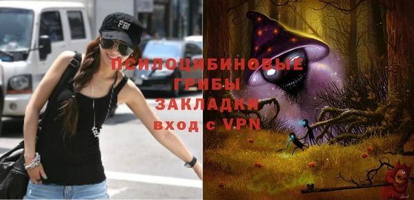 гашик Аркадак
