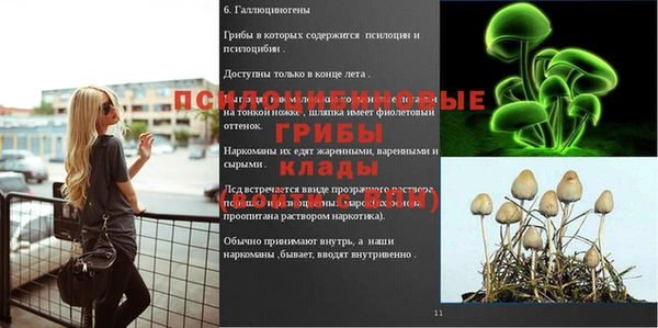 гашик Аркадак