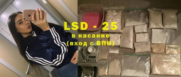 гашик Аркадак