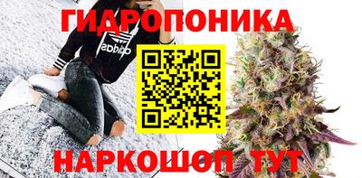 первитин Гусев