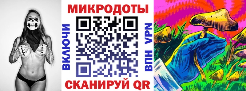 закладка Черняховск Галлюциногенные грибы Psilocybine cubensis
