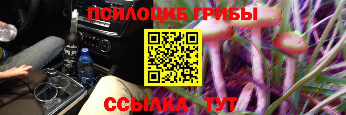 Псилоцибиновые грибы Magic Shrooms  Вход с VPN  Псилоцибиновые грибы MAGIC MUSHROOMS  Черняховск 